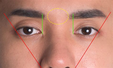 男性 眉毛 形|【メンズ眉毛の整え方＆描き方】初心者でも失敗知らず！好印象。